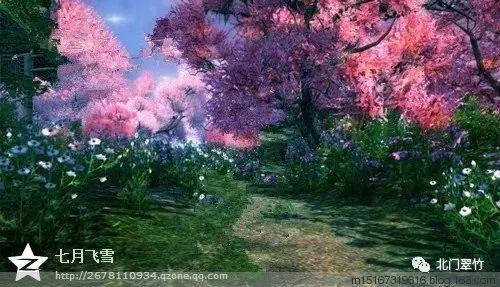 综艺节目中哪些明星的“出糗”瞬间，看完让人哭笑不得呢？游戏画面