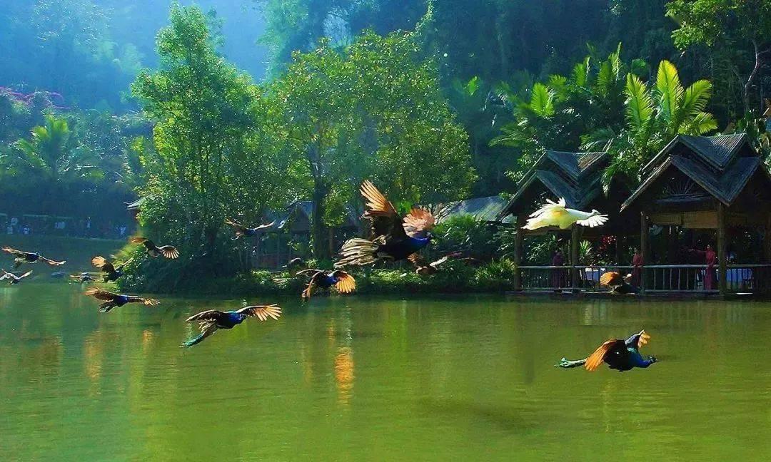割绳子吃寿司